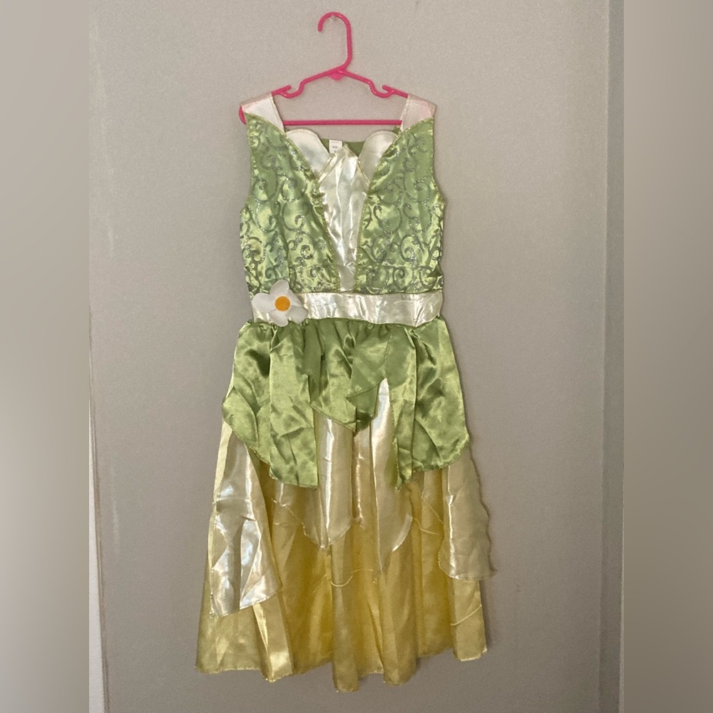 The Princess and the Frog Dress